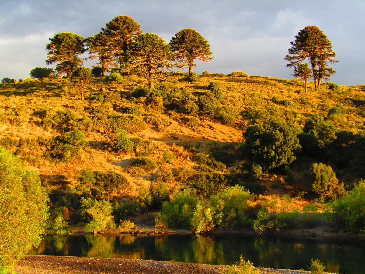 Готель La Berendina Huechulafquen Lake Екстер'єр фото